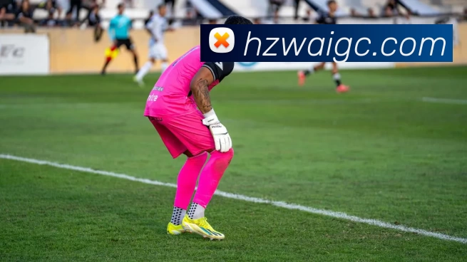 世界杯官网平台APP 封面图